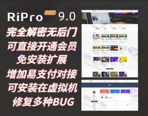 Ripro9.1 WordPress主题,全解密完美修复版,修复易支付对接回调订单号错误,解密去授权去扩展安装,修复CDN不稳定插图2