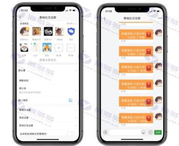 青柚即时通讯IM系统（H5+安卓+IOS)客户端+支持红包转账+朋友圈+群聊和群聊红包+收藏功能+语音相册+视频通话+视频部署教程插图