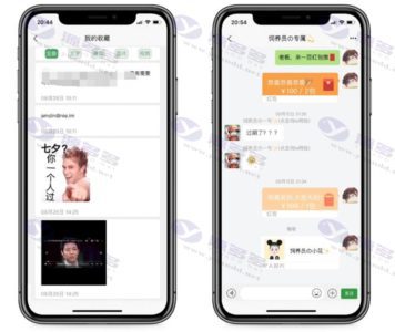 青柚即时通讯IM系统（H5+安卓+IOS)客户端+支持红包转账+朋友圈+群聊和群聊红包+收藏功能+语音相册+视频通话+视频部署教程插图2