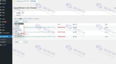 WordPress去除文章失效图片Broken Link Checker插件的使用和下载插图6