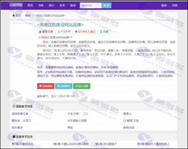 新版小说泛目录站群系统网站源码 小说站群源码 海量关键词霸屏插图2