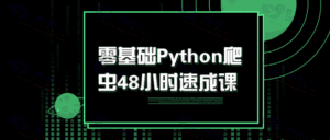 零基础Python爬虫速成课：48小时全面掌握网页获取、正则解析和XPath解析等插图