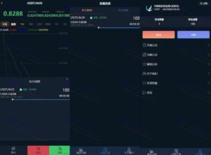 区块链数字虚拟币股票理财微盘系统源码：USDT微盘理财交易系统源码下载插图