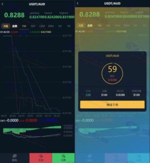 区块链数字虚拟币股票理财微盘系统源码：USDT微盘理财交易系统源码下载插图2