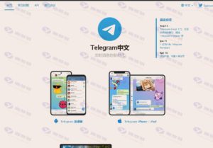 高仿 Telegram 源码/假飞机源码/TG 支付地址更换源码/黑飞机源码插图