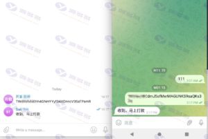 高仿 Telegram 源码/假飞机源码/TG 支付地址更换源码/黑飞机源码插图2