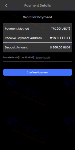 海外虚拟货币投资系统英文版源码/USDT充值系统源码下载插图4