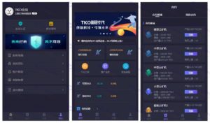 TKO合约区块链挖矿系统：全新UI、资金盘模式、数字资产交易插图2