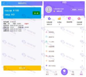 淘单宝V6.0自动抢单任务源码：接单返利免授权无后门，新增利息宝功能插图2