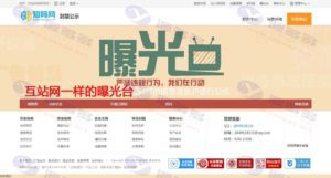 知码网仿互站网整站打包开源版：仿互站网、仿互买宝、仿速知网整站打包插图10