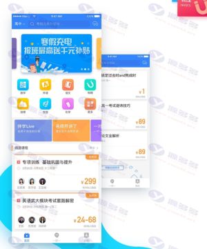 鼎鼎少年开发的联邦雅思伴学教育APP：双端原生开发，完美运营插图