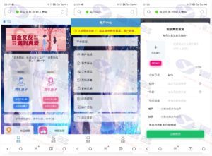 Java版交友盲盒程序免授权版 – 授权检测代码已删除插图