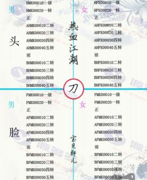 热血江湖客户端武器、装备及披风样式修改教程,SF装备披风修改插图