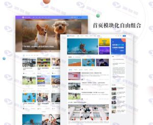 WordPress博客自适应门户主题JustNews V6.16.7免授权开心版插图4