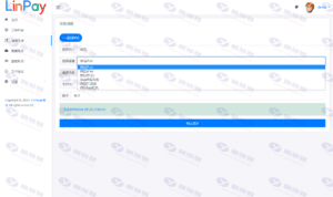 LinPay免签支付系统网站源码——最新免授权版本插图10