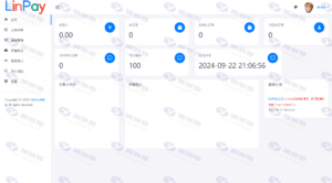 LinPay免签支付系统网站源码——最新免授权版本插图12