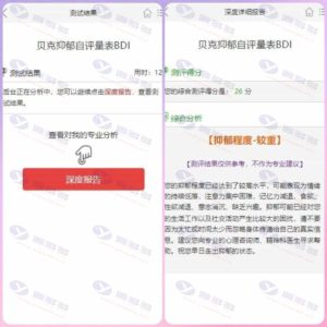 心理测评网站源码：H5付费心理测试平台（支持微信支付）插图