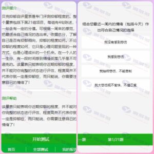 心理测评网站源码：H5付费心理测试平台（支持微信支付）插图2